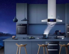 直流無刷電機在家用電器發(fā)展趨勢